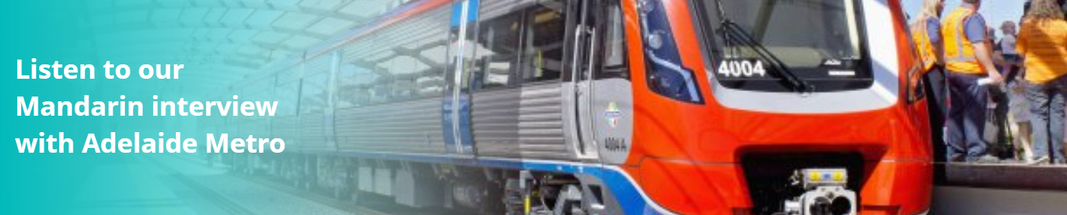 Image of red train with text 'Click to Listen to our Mandarin Interview with Adelaide Metro'